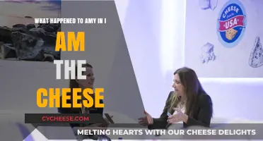 Unraveling Amy's Fate in 'I Am the Cheese': A Deep Dive