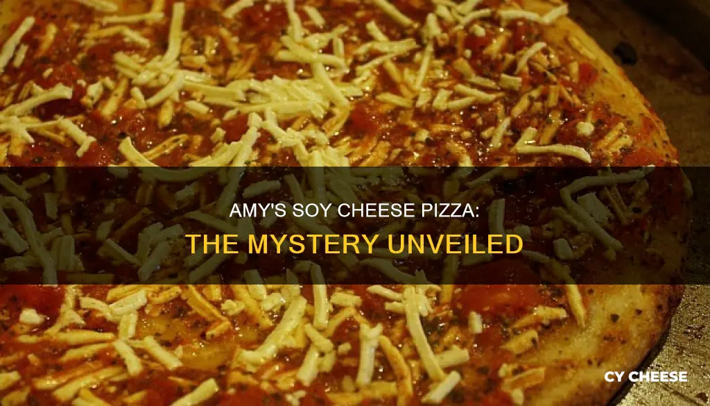 Amy's Soy Cheese Pizza: The Mystery Unveiled | CyCheese