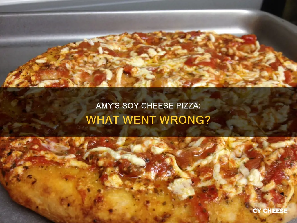 what happened to amy