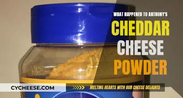 The Disappearance of Anthony's Cheddar Cheese Powder: A Mystery Unveiled