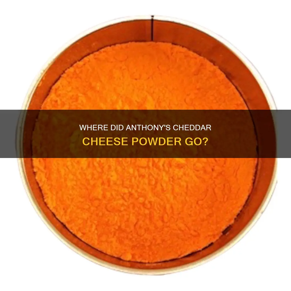 what happened to anthony