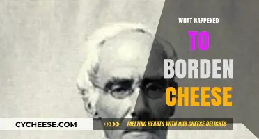 The Rise, Fall, and Legacy of Borden Cheese Explained