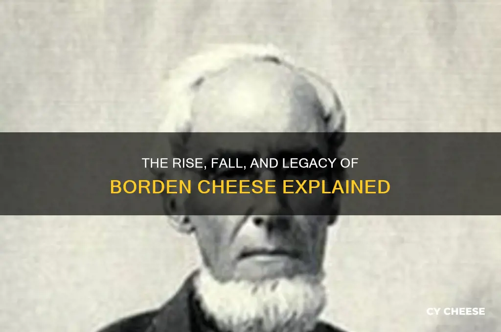 what happened to borden cheese