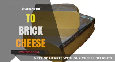 The Mysterious Disappearance of Brick Cheese: What Really Happened?