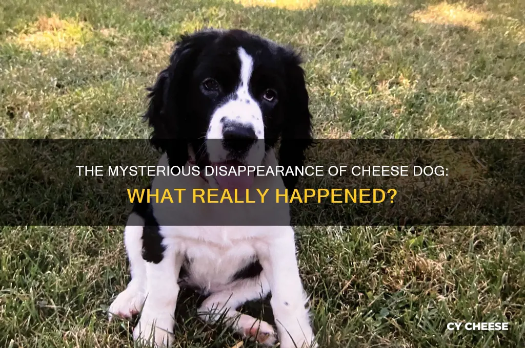 what happened to cheese dog