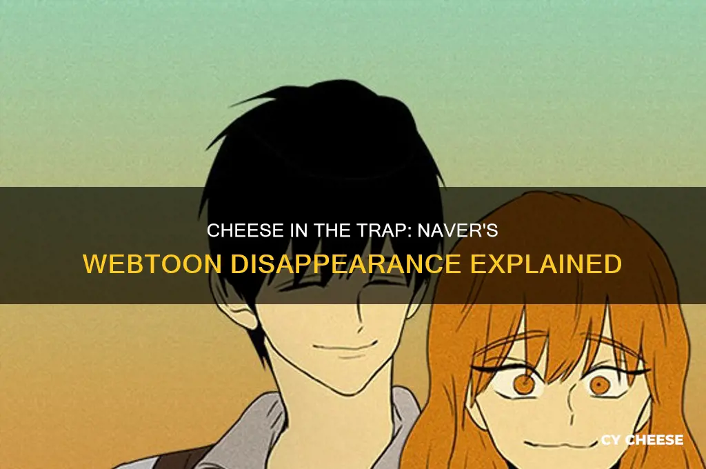 what happened to cheese in the trap on naver