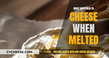 The Magical Transformation of Melted Cheese