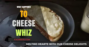The Mysterious Disappearance of Cheese Whiz: What Really Happened?