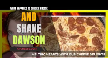 Shane Dawson and Chuck E. Cheese's Downfall