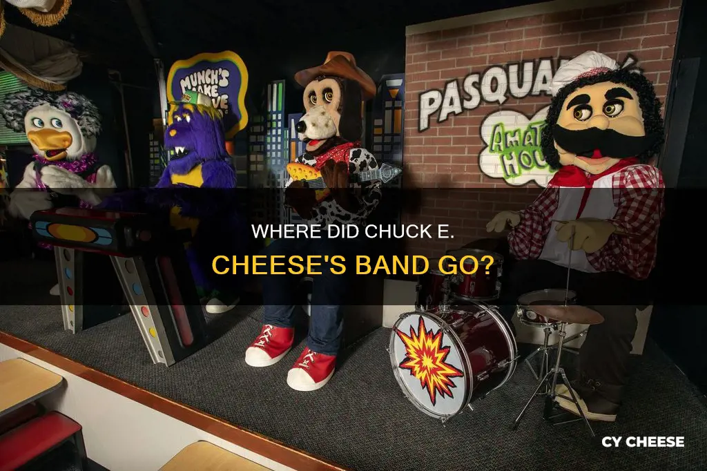 what happened to chuck e cheese band