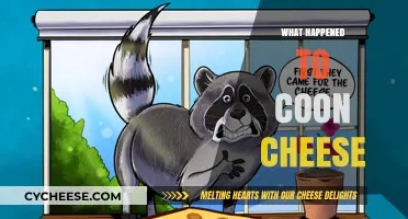 The Controversial Disappearance of Coon Cheese: A Brand's Transformation