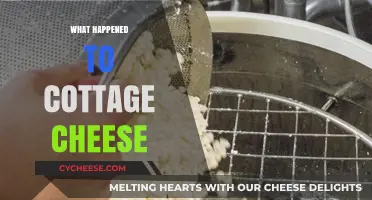 The Mysterious Decline of Cottage Cheese: What Happened to This Dairy Staple?