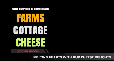 Cumberland Farms Cottage Cheese: Why It Vanished from Shelves