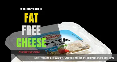 Fat-Free Cheese: What Went Wrong?