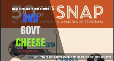 Food Stamps and Govt Cheese: The Evolution of Welfare Programs