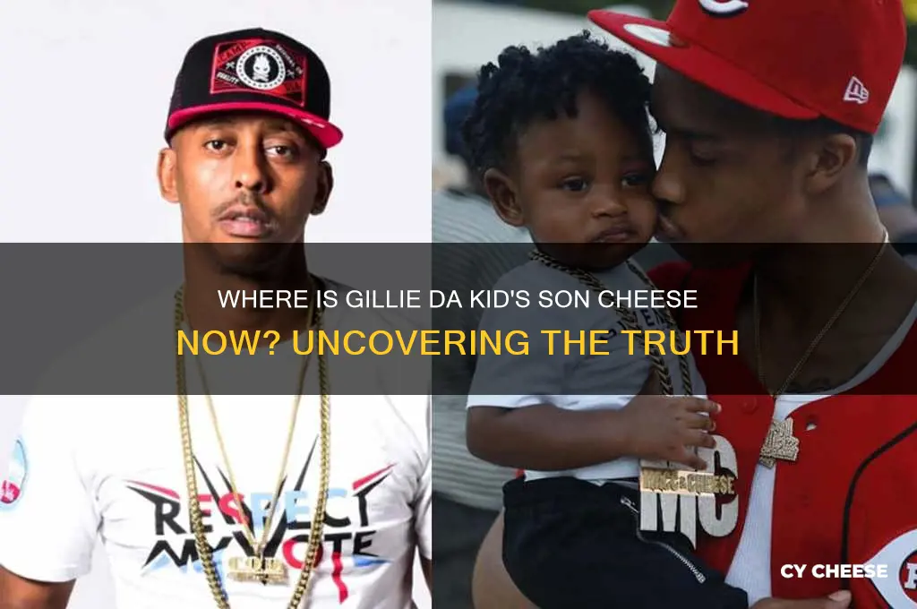 what happened to gillie the kid son cheese