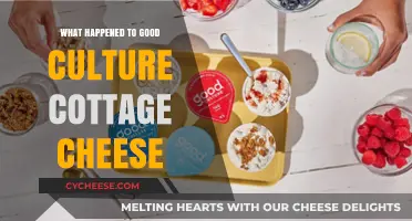What Happened to Good Culture Cottage Cheese? A Brand Update