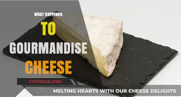 The Mysterious Disappearance of Gourmandise Cheese: What Really Happened?