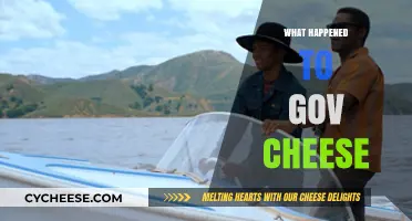 The Mysterious Disappearance of Gov Cheese: Unraveling the Dairy Dilemma
