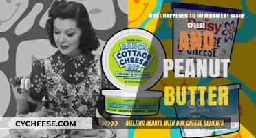 The Disappearance of Government-Issued Cheese and Peanut Butter: What Happened?