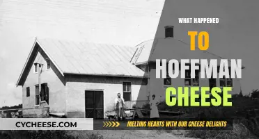 The Mysterious Disappearance of Hoffman Cheese: What Really Happened?