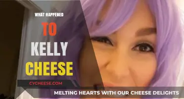 The Mysterious Disappearance of Kelly Cheese: Unraveling the Untold Story