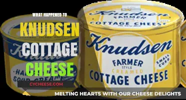 The Disappearance of Knudsen Cottage Cheese: What Really Happened?