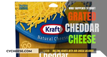 Kraft Cheddar's Disappearance: Unraveling the Mystery of the Discontinued Product