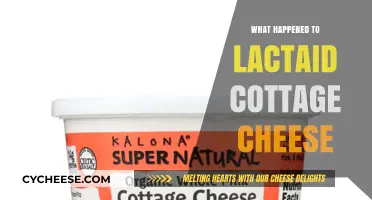 Lactaid Cottage Cheese Discontinued: What Happened and Why It Vanished