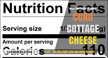 The Disappearance of Large Curd Cottage Cheese: What Really Happened?