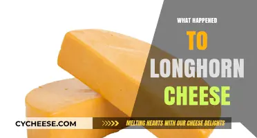 The Mysterious Disappearance of Longhorn Cheese: What Really Happened?