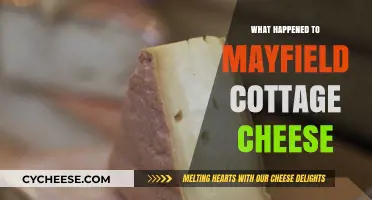 The Disappearance of Mayfield Cottage Cheese: What Really Happened?