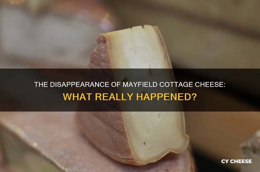 what happened to mayfield cottage cheese