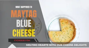 Maytag Blue Cheese: A Sad Farewell to a Delicious Treat