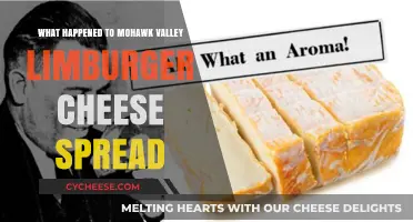 The Disappearance of Mohawk Valley Limburger Cheese Spread: A Dairy Mystery