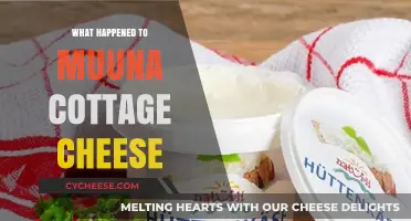 Muuna Cottage Cheese Disappearance: What Happened to the Brand?