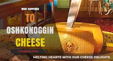 The Mysterious Disappearance of Oshkonoggin Cheese: What Really Happened?