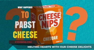 The Mysterious Disappearance of Pabst Cheese: What Really Happened?