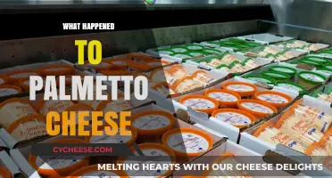 The Mysterious Disappearance of Palmetto Cheese: What Really Happened?