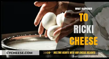 The Mysterious Disappearance of Ricki Cheese: Unraveling the Untold Story