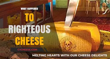 The Mysterious Disappearance of Righteous Cheese: What Really Happened?