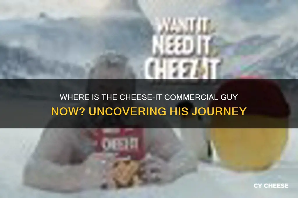 what happened to the cheese it commercial guy