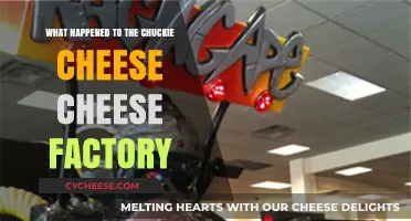 The Mysterious Disappearance of Chuck E. Cheese's Cheese Factory