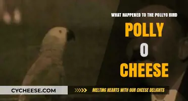 Polly-O Cheese and the Pollyo Bird: Unraveling the Mystery