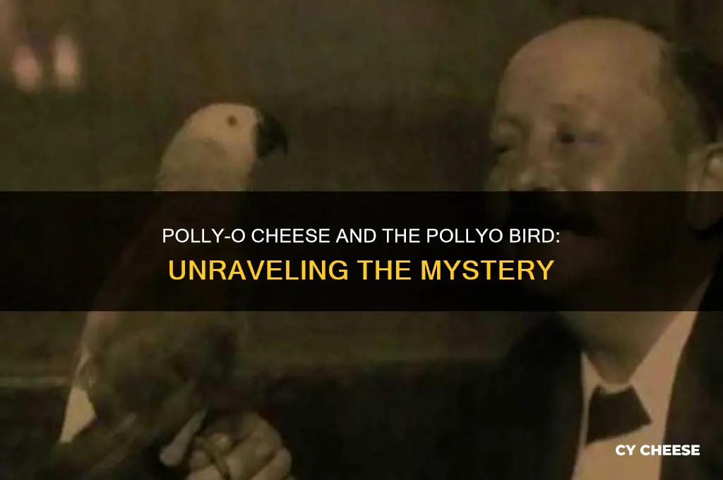 what happened to the pollyo bird polly o cheese