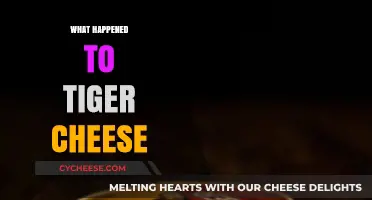 The Mysterious Disappearance of Tiger Cheese: What Really Happened?
