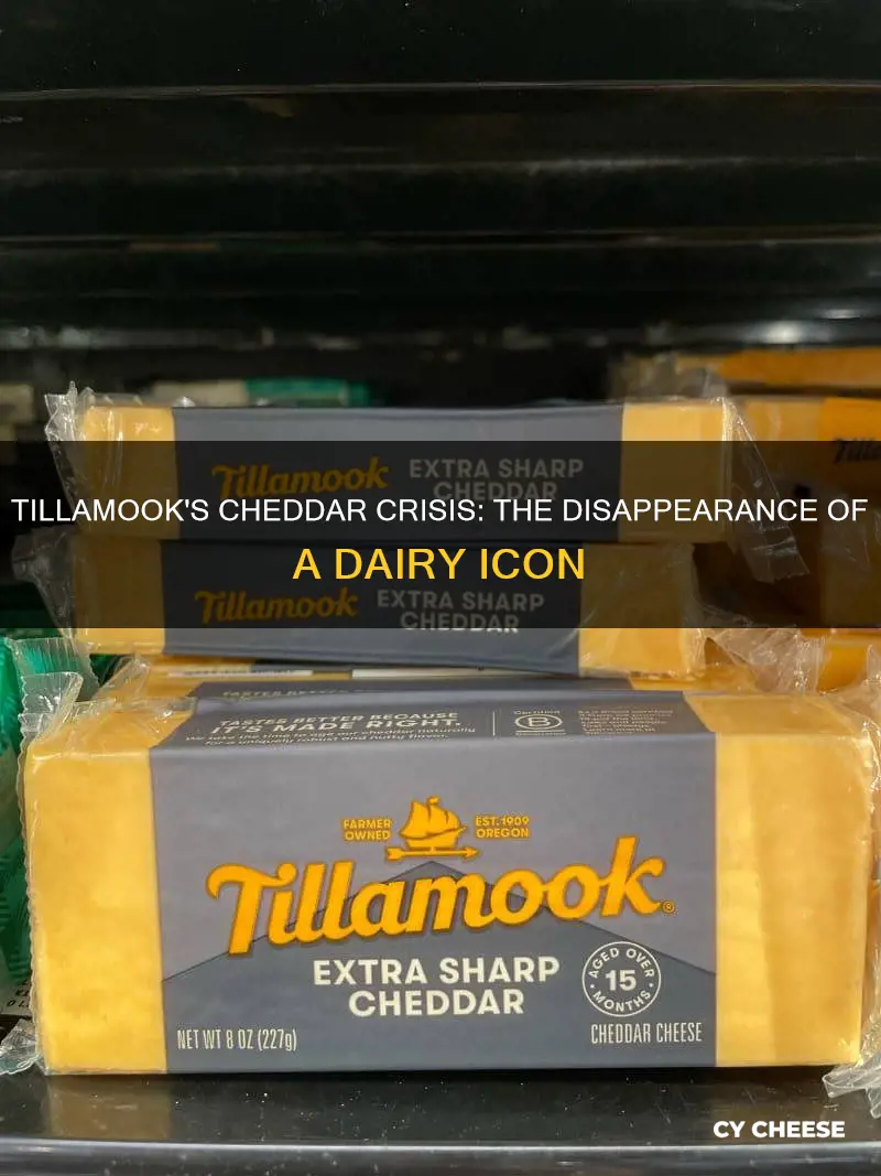 what happened to tillamook sharp white cheddar cheese