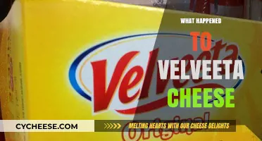 The Mysterious Disappearance of Velveeta Cheese: What Really Happened?
