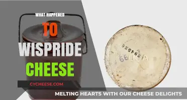 The Mysterious Disappearance of Wispride Cheese: What Really Happened?