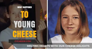 The Mysterious Disappearance of Young Cheese: Unraveling the Untold Story
